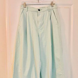 Everlane mint-green high waisted, pleated wide pants, Size 8